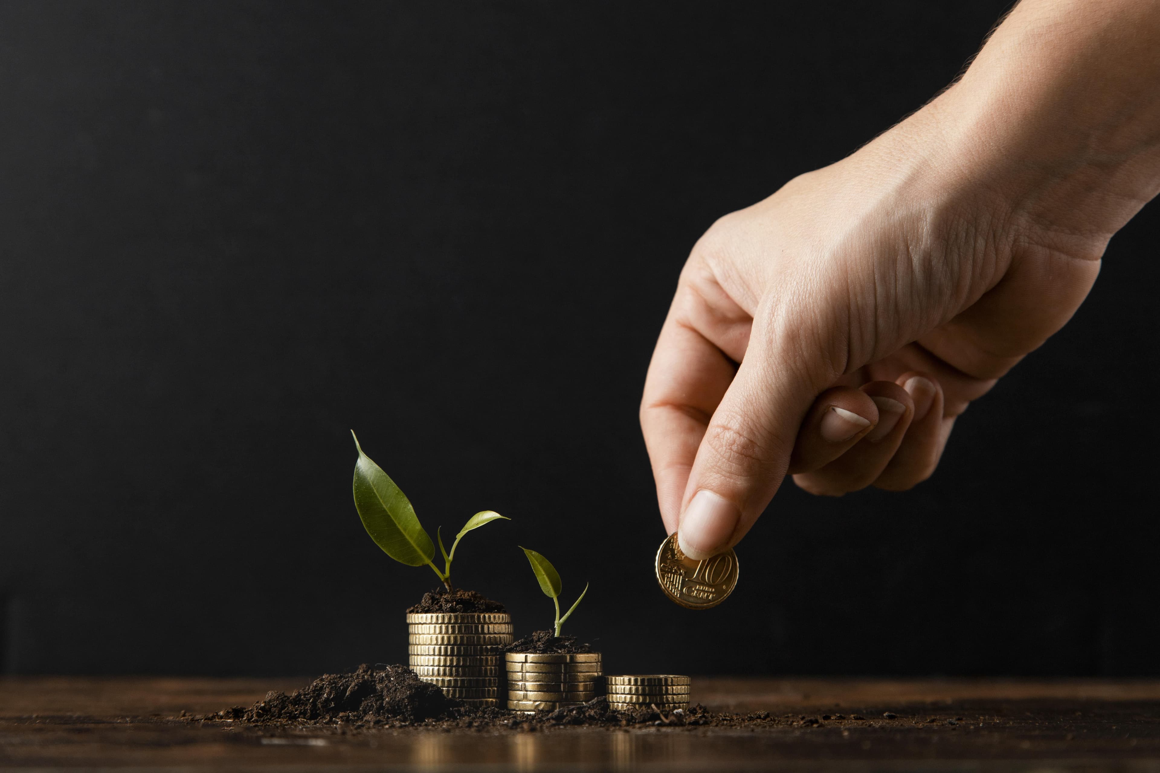 Capricon Fund Microfinance Management System software interface preview