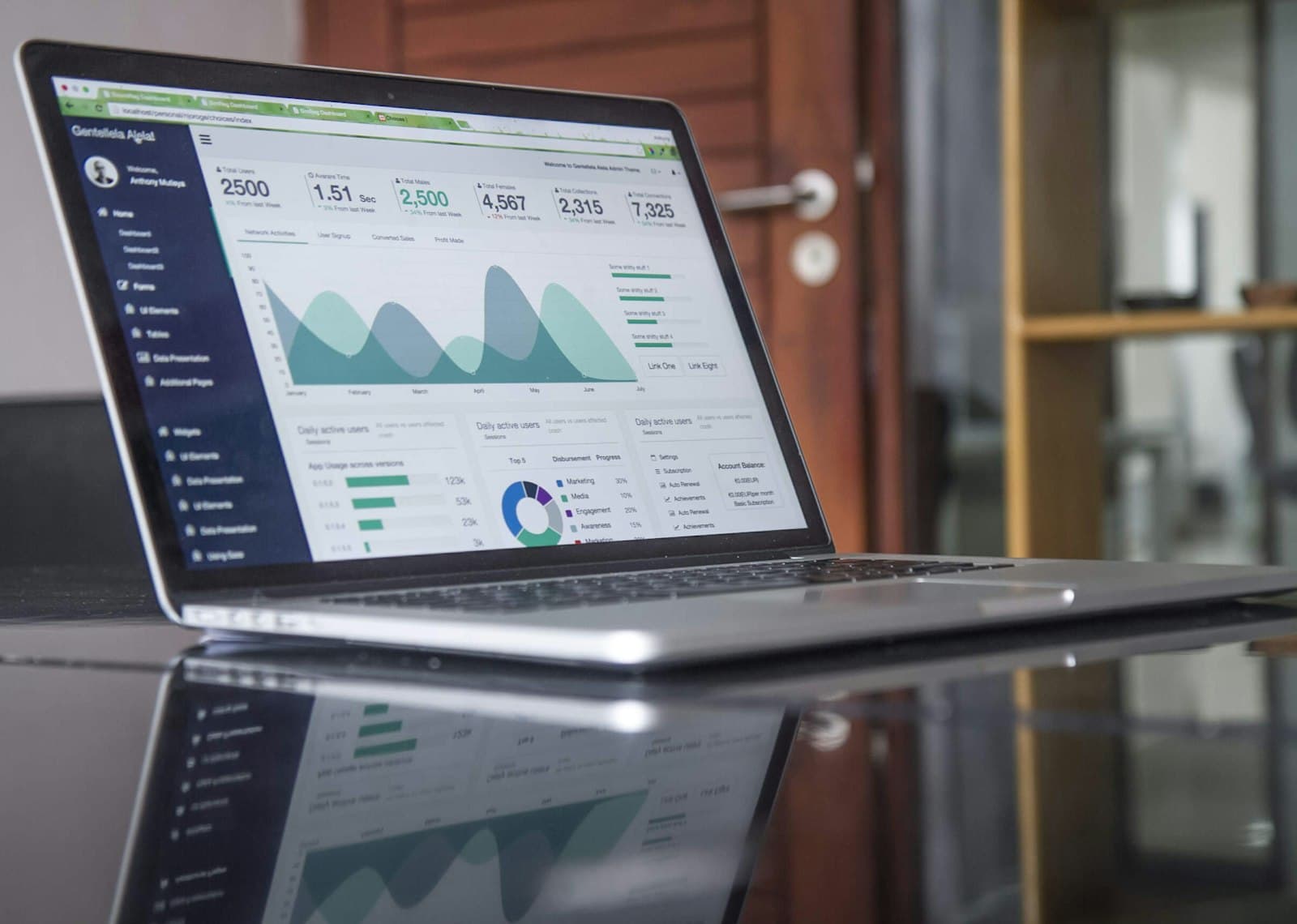 Laptop analytics screen representing RAMIS Web API ERP integration readiness